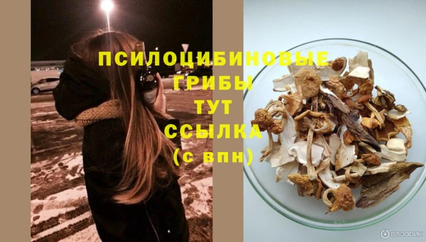 MDMA Premium VHQ Дмитриев