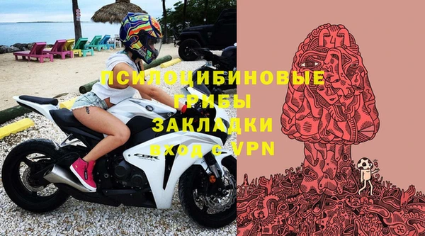 прущий лед Дмитровск